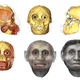 Illustration for article titled New interpretation of extinct ‘Hobbit’ species reveals a human-like face